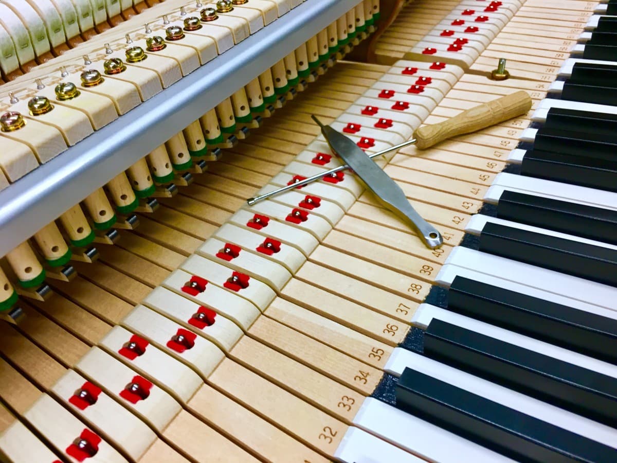 pianovidhald